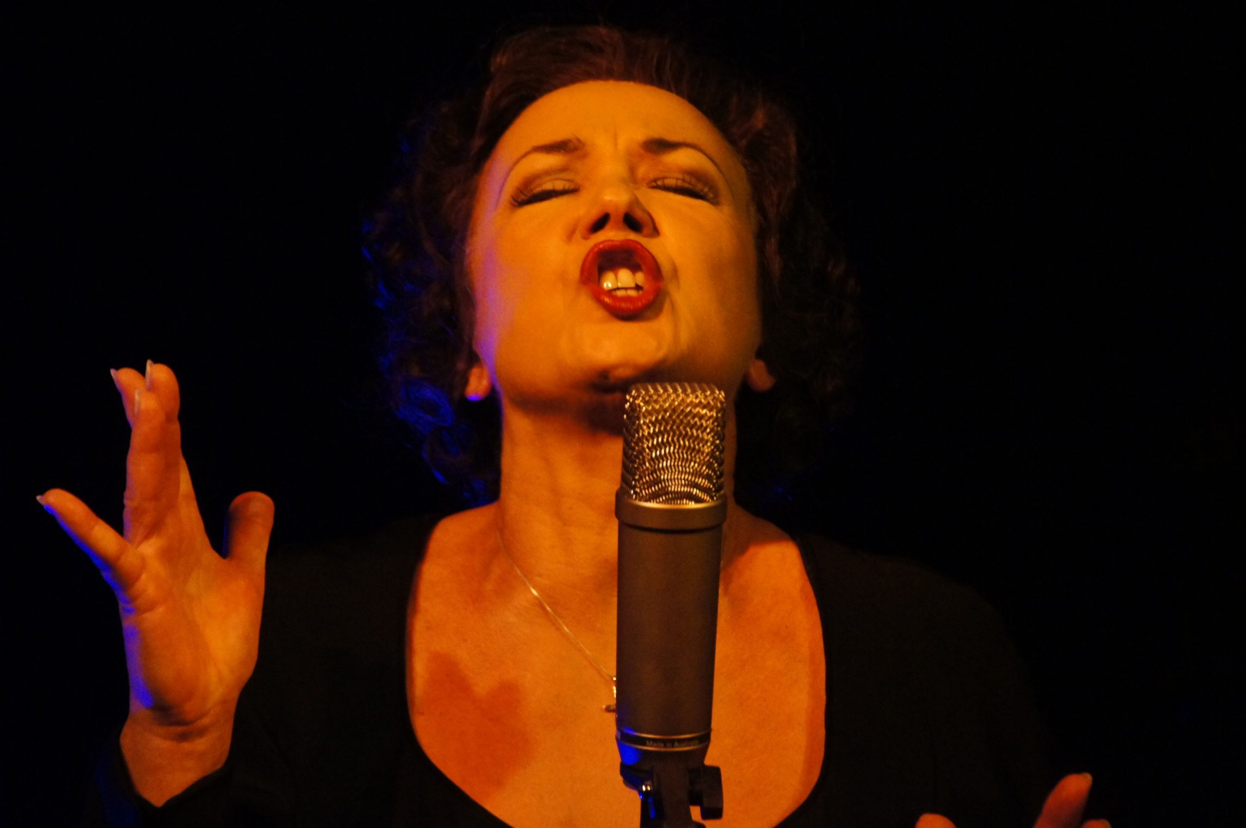 Un’irresistibile serata di solidarietà: Debora Villa e amici contro la violenza sulle donne | 19 Novembre, Teatro Gaber, Milano