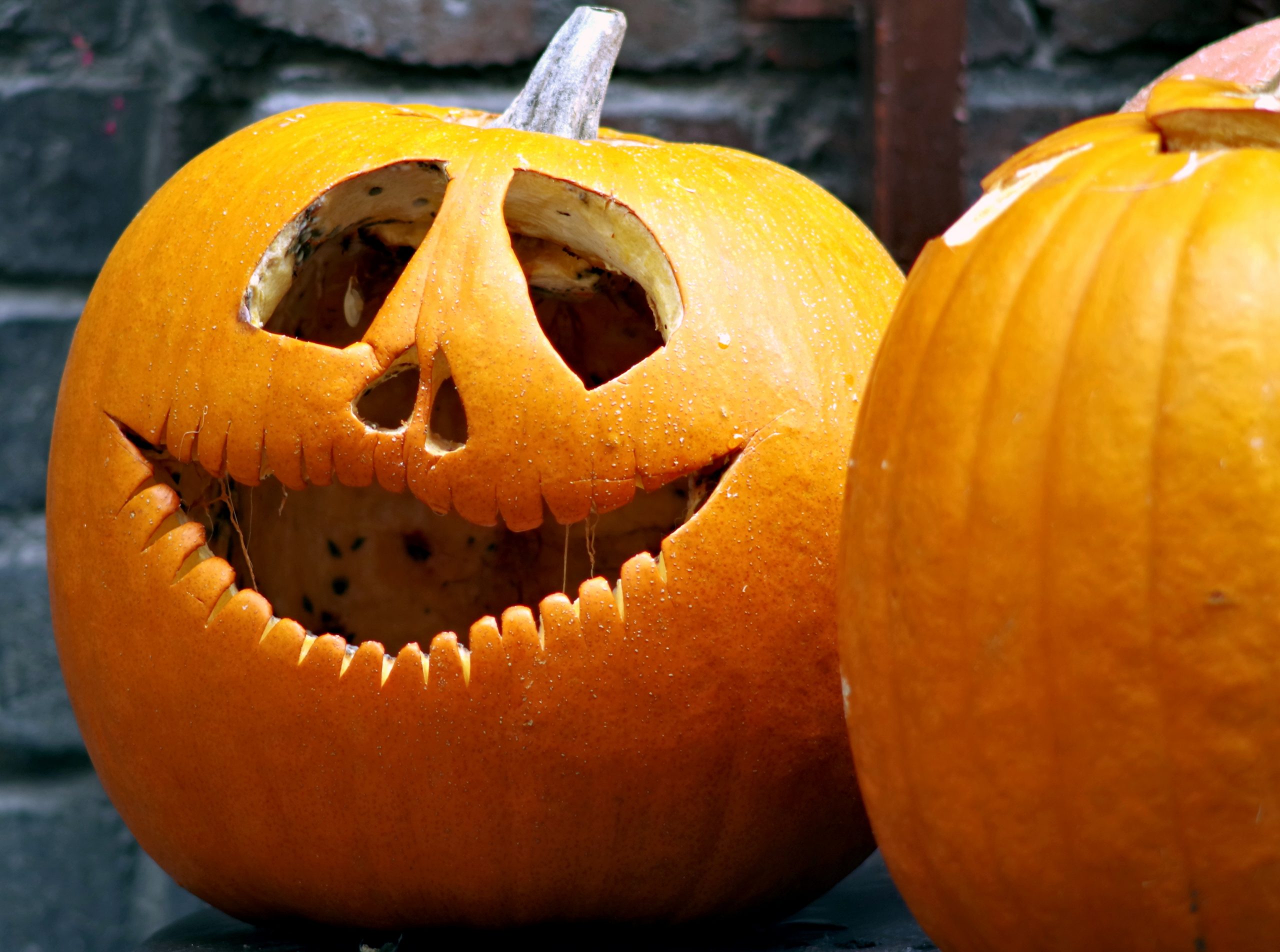 Un’autunnale esperienza americana: Halloween nel Midwest