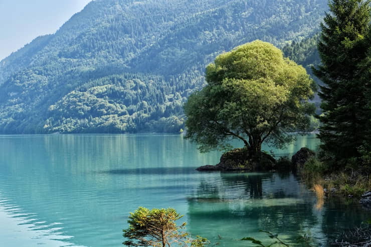 Un panorama del Trentino - Foto Pixabay - Emmepress.com