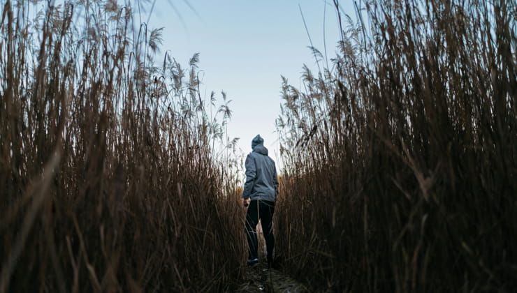Un single che sta correndo in mezzo alla natura - Foto Pexels - Emmepress.com