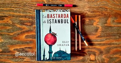 “La bastarda di Istanbul” di Elif Shafak  | RECENSIONE