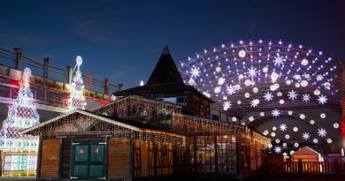 LA MAGIA DEL NATALE, dall’8 Novembre al 22 Dicembre alle porte di Milano la vera atmosfera Natalizia