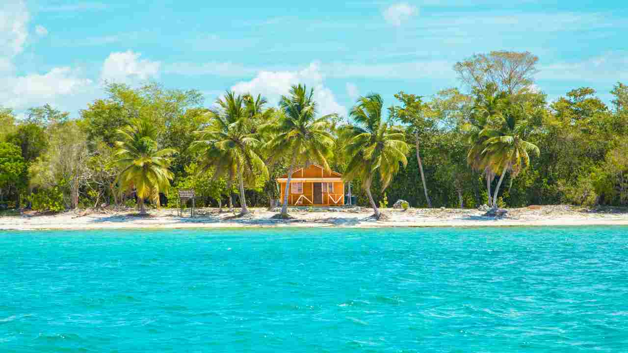 Caraibi