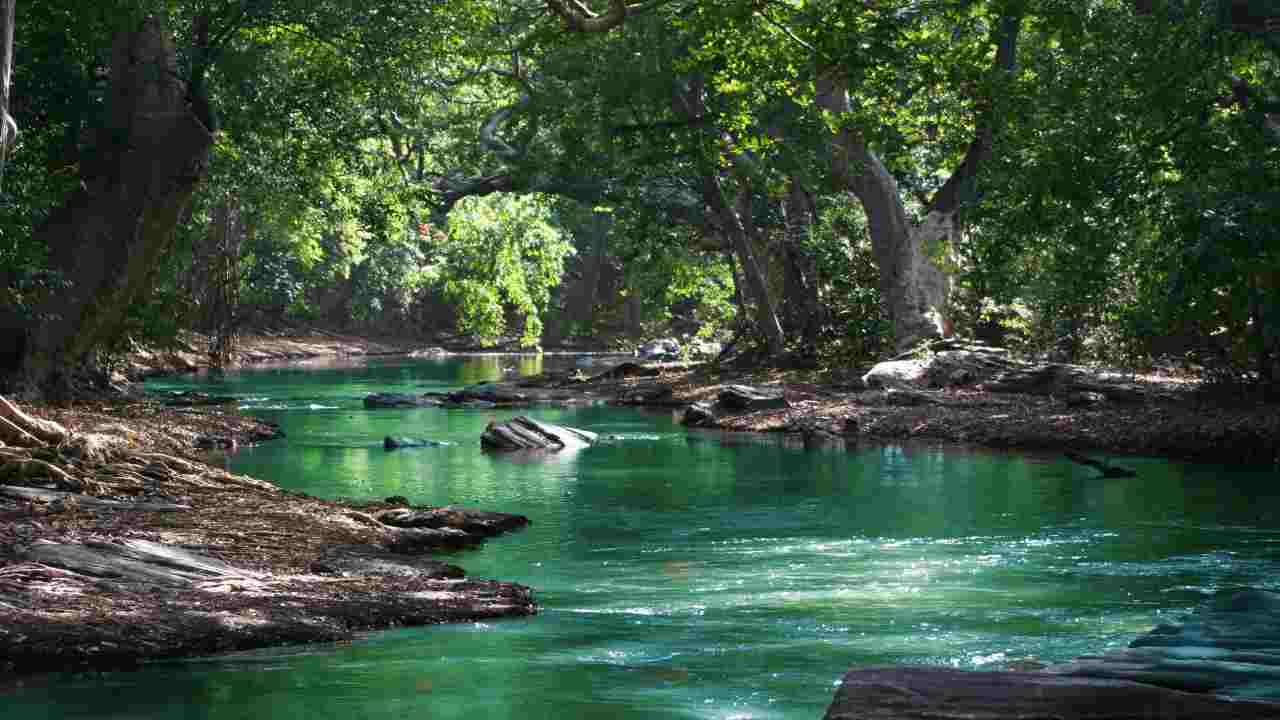 Fiume