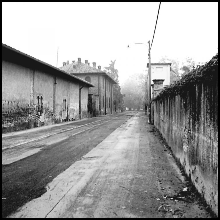 Trasforma il “devo” in “voglio”: una chiave per la felicità