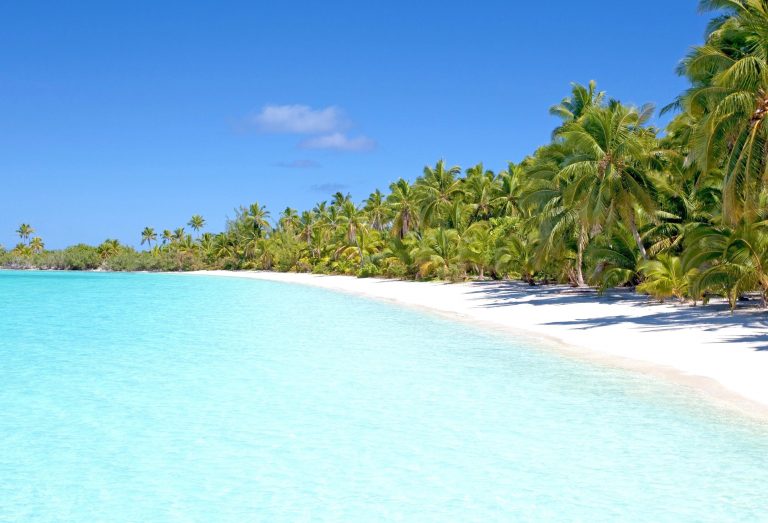 L’Isola dei Famosi: Sfide, Tentazioni e Destini Incrociati