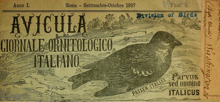 Comunicazione istituzionale sui social: Conte contatta i Ferragnez per la campagna mascherine