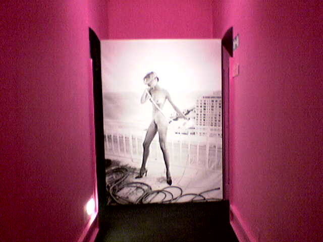 Helmut Newton: Visionaria o Controversa?