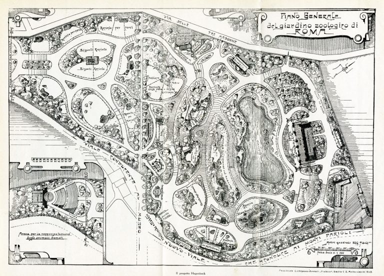 Un’esperienza indimenticabile al Bioparco di Roma: natura, animali e divertimento!