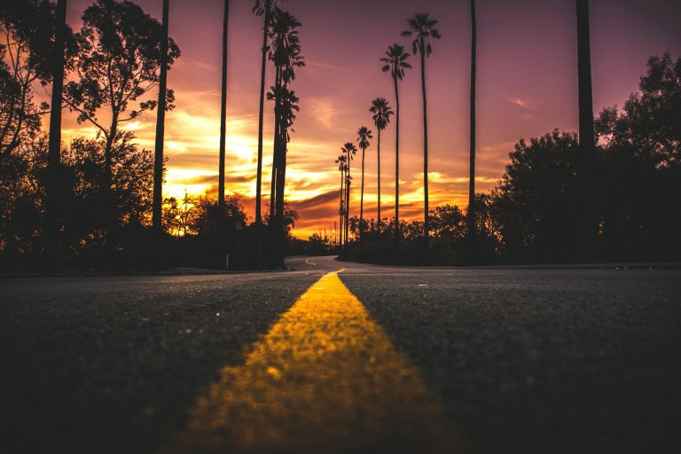 Un’avventura strampalata: anteprima di “Molllami” alla Festa del Cinema di Roma