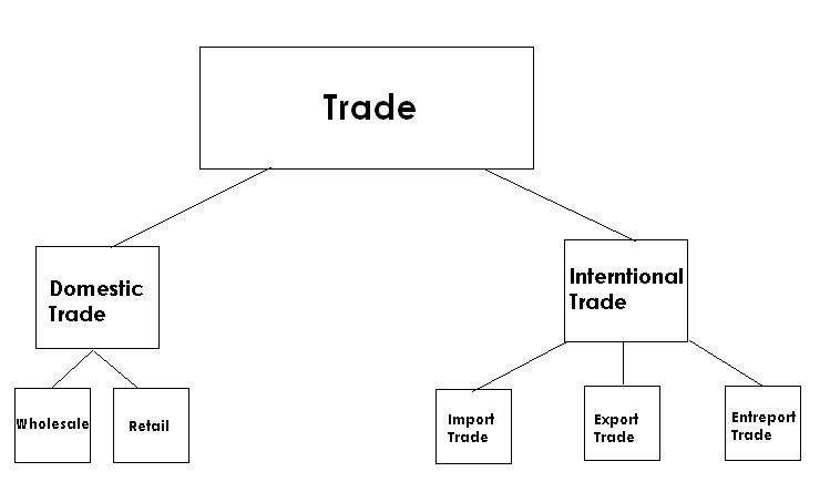 Retail vs. Wholesale: Understanding the Key Differences