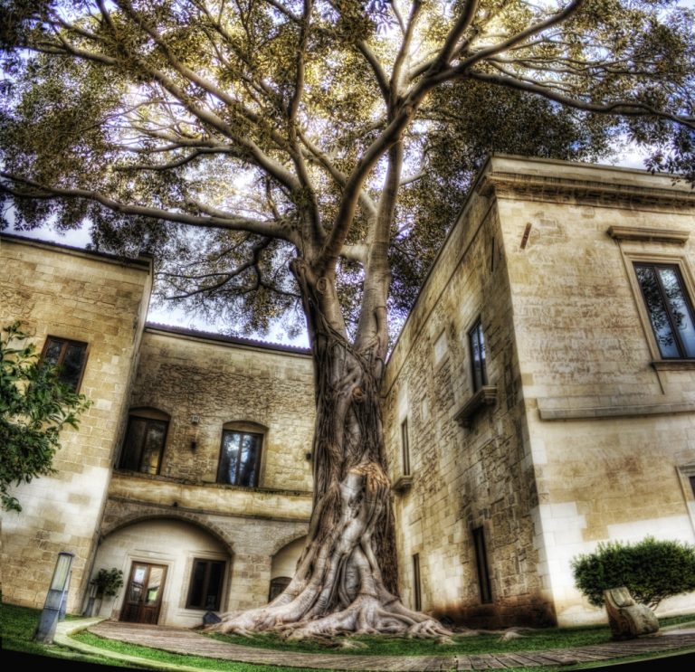 Distanze familiari nel romanzo di Isabella Nicora