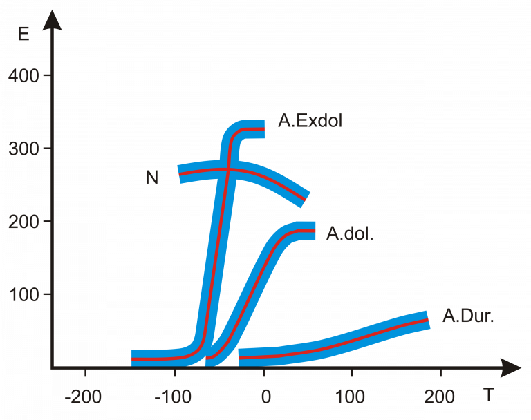 Superare le Avversità: Coltivare la Forza Interiore