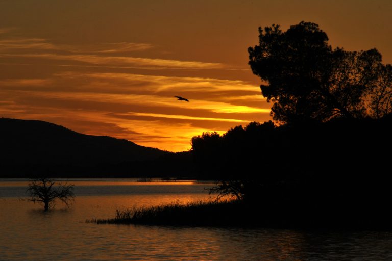 Il fascino discreto di “Galli e Gufi” sul Lago di Como