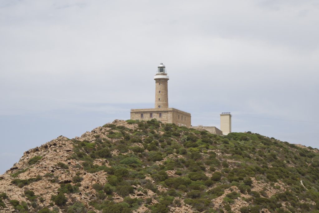 L’Isola di Pietro Ritorna: Nuove Sfide per il Dottor Sereni