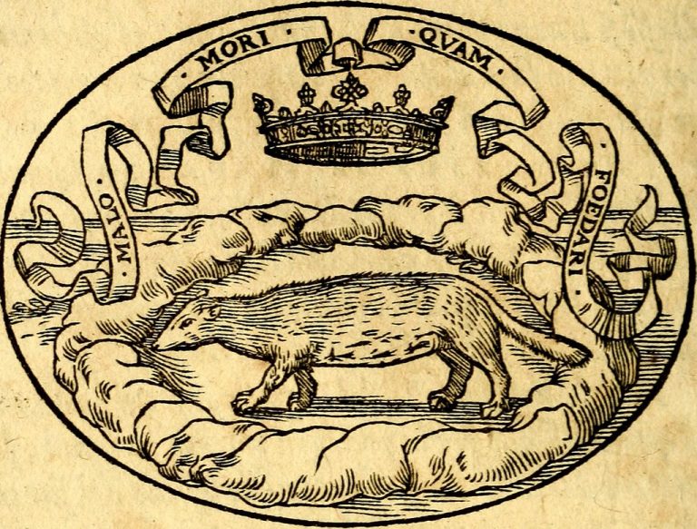 La guardiana del silenzio: una riflessione su “Una ladra in biblioteca”