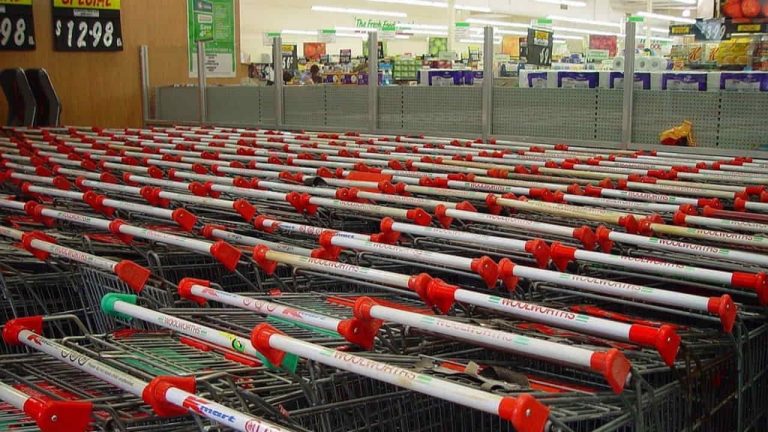 I carrelli della spesa - Foto Pixabay - Emmepress.com