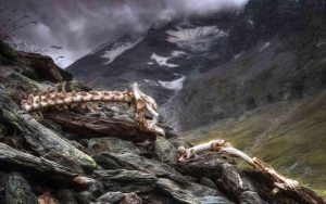 Parco più spaventoso d'Italia