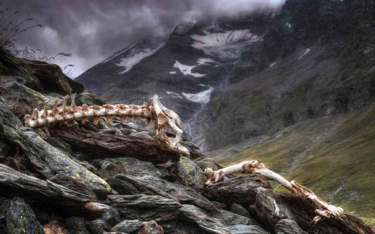 Parco più spaventoso d'Italia