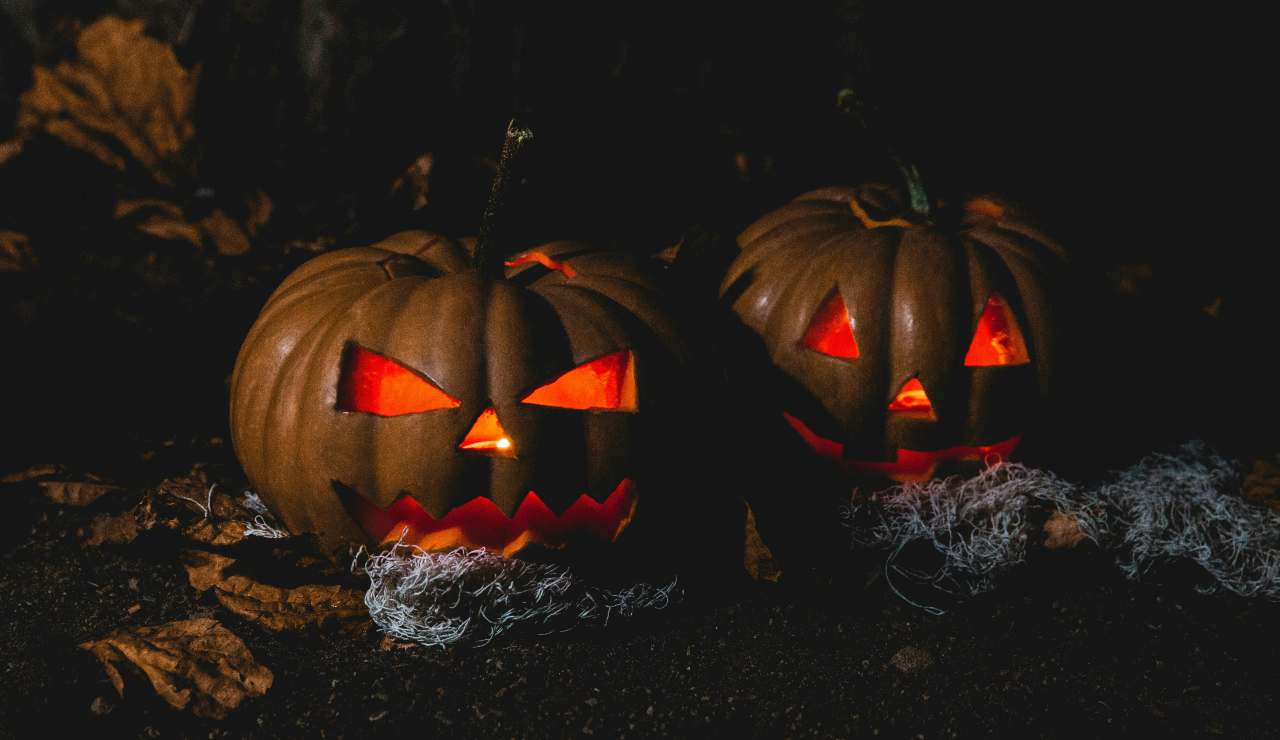 Zucche di Halloween
